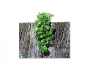 JBL TerraPlanta Amaz.Philo - Искусственное подвесное растение для террариумов, 50 см.
