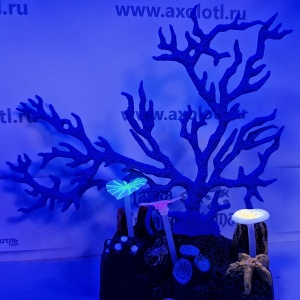 Светящийся  коралл, синий 16,5х16,5, AM0015B