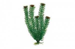 Пластиковое растение Plant 002 - Амбулия ЗЕЛЕНАЯ, 10 см