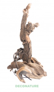 DECO NATURE PREMIUMSELECT TROPICAL XL - Натуральная коряга тропического дерева от 30 до 39 см