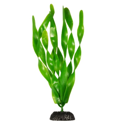 Пластиковое растение Plant 005 - Валиснерия широколистная, 30 см