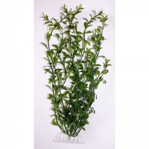 Растение аквариумное Hygrophila 3 (L)  30см.  607033