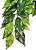 Тропическое растение EX Jungle Plants пластиковое Фикус среднее 55х25см PT3040 (H230407) H230407