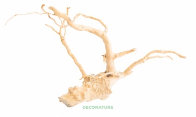 DECO NATURE WOOD AZALEA - Натуральный корень азалии для аквариума, террариума, кг