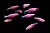 Данио рерио (GloFish) Пурпурный светящийся